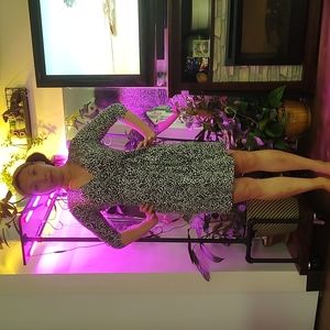 Zara Dress Medium Black White